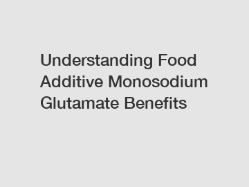 Understanding Food Additive Monosodium Glutamate Benefits