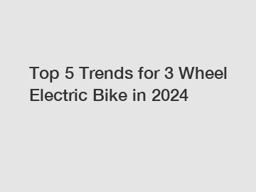 Top 5 Trends for 3 Wheel Electric Bike in 2024