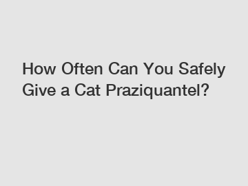 How Often Can You Safely Give a Cat Praziquantel?