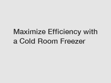 Maximize Efficiency with a Cold Room Freezer