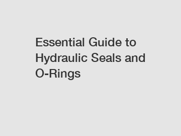 Essential Guide to Hydraulic Seals and O-Rings