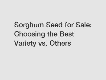 Sorghum Seed for Sale: Choosing the Best Variety vs. Others