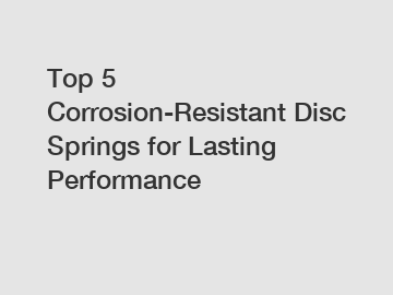 Top 5 Corrosion-Resistant Disc Springs for Lasting Performance