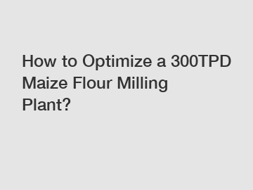 How to Optimize a 300TPD Maize Flour Milling Plant?