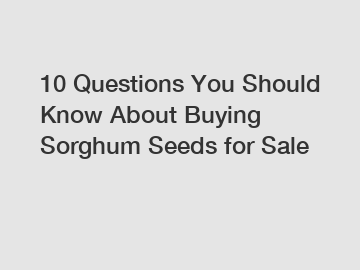 10 Questions You Should Know About Buying Sorghum Seeds for Sale