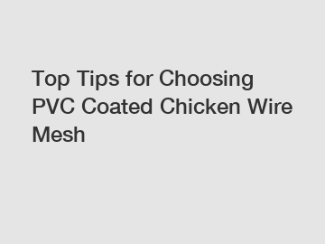 Top Tips for Choosing PVC Coated Chicken Wire Mesh