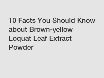 10 Facts You Should Know about Brown-yellow Loquat Leaf Extract Powder