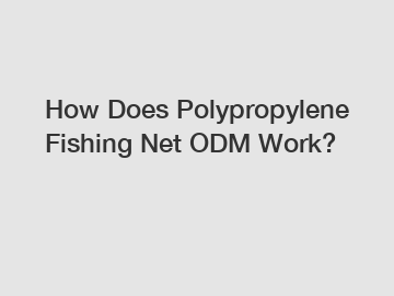 How Does Polypropylene Fishing Net ODM Work?