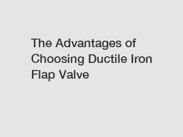The Advantages of Choosing Ductile Iron Flap Valve