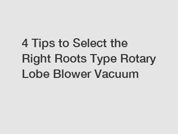 4 Tips to Select the Right Roots Type Rotary Lobe Blower Vacuum