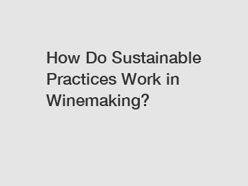How Do Sustainable Practices Work in Winemaking?