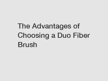The Advantages of Choosing a Duo Fiber Brush
