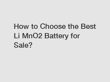 How to Choose the Best Li MnO2 Battery for Sale?