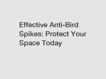 Effective Anti-Bird Spikes: Protect Your Space Today