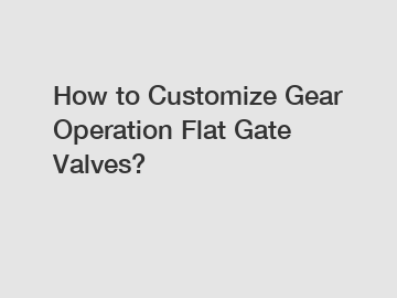 How to Customize Gear Operation Flat Gate Valves?