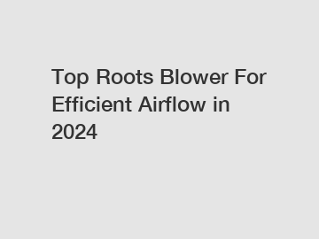 Top Roots Blower For Efficient Airflow in 2024