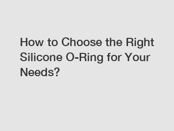 How to Choose the Right Silicone O-Ring for Your Needs?