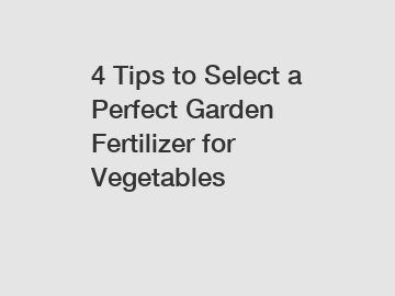 4 Tips to Select a Perfect Garden Fertilizer for Vegetables