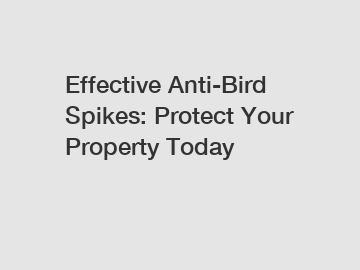 Effective Anti-Bird Spikes: Protect Your Property Today