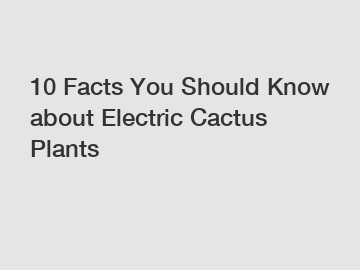 10 Facts You Should Know about Electric Cactus Plants