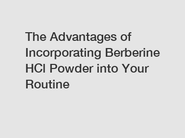 The Advantages of Incorporating Berberine HCl Powder into Your Routine