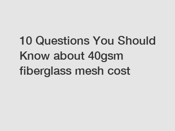 10 Questions You Should Know about 40gsm fiberglass mesh cost