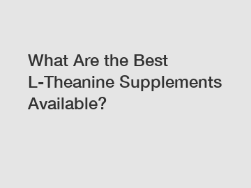 What Are the Best L-Theanine Supplements Available?