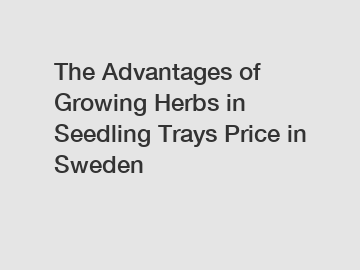 The Advantages of Growing Herbs in Seedling Trays Price in Sweden