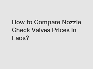 How to Compare Nozzle Check Valves Prices in Laos?