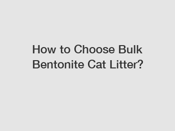 How to Choose Bulk Bentonite Cat Litter?