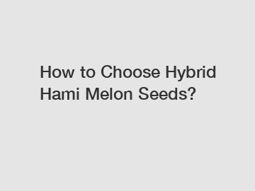 How to Choose Hybrid Hami Melon Seeds?