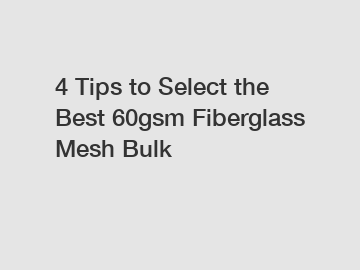 4 Tips to Select the Best 60gsm Fiberglass Mesh Bulk