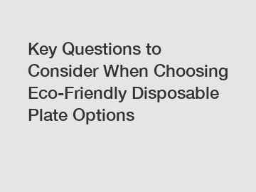 Key Questions to Consider When Choosing Eco-Friendly Disposable Plate Options
