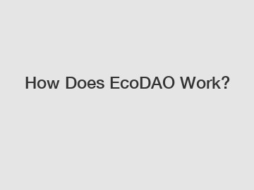 How Does EcoDAO Work?