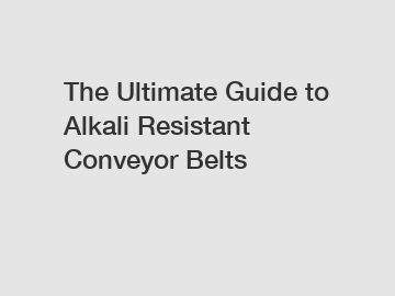 The Ultimate Guide to Alkali Resistant Conveyor Belts