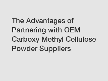 The Advantages of Partnering with OEM Carboxy Methyl Cellulose Powder Suppliers