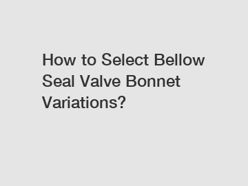 How to Select Bellow Seal Valve Bonnet Variations?