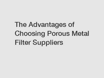 The Advantages of Choosing Porous Metal Filter Suppliers