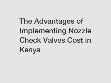 The Advantages of Implementing Nozzle Check Valves Cost in Kenya