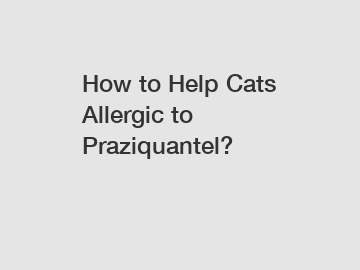 How to Help Cats Allergic to Praziquantel?