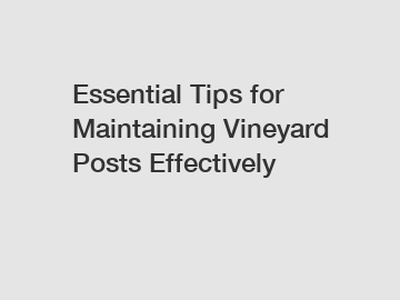 Essential Tips for Maintaining Vineyard Posts Effectively