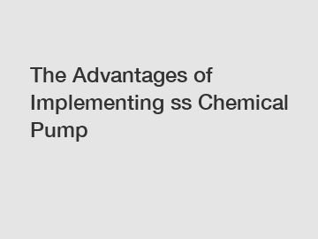 The Advantages of Implementing ss Chemical Pump