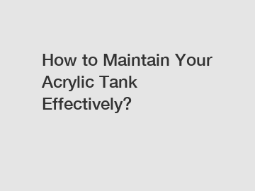 How to Maintain Your Acrylic Tank Effectively?