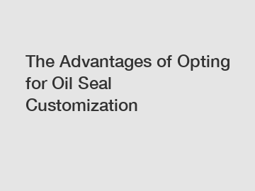 The Advantages of Opting for Oil Seal Customization