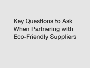 Key Questions to Ask When Partnering with Eco-Friendly Suppliers