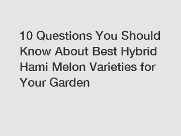 10 Questions You Should Know About Best Hybrid Hami Melon Varieties for Your Garden