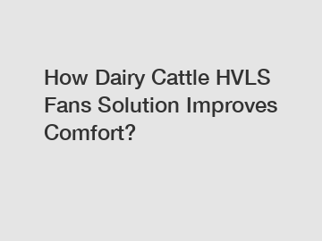 How Dairy Cattle HVLS Fans Solution Improves Comfort?