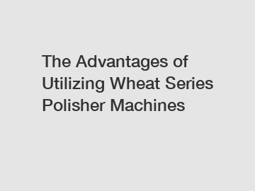 The Advantages of Utilizing Wheat Series Polisher Machines