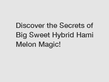 Discover the Secrets of Big Sweet Hybrid Hami Melon Magic!