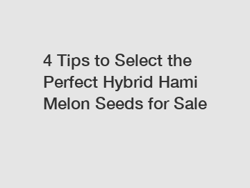 4 Tips to Select the Perfect Hybrid Hami Melon Seeds for Sale